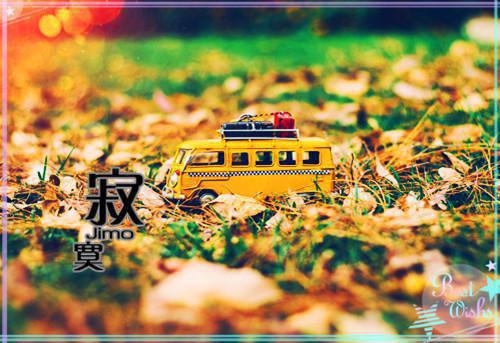 蝴蝶结系的伤痕鹿迟迟 陆凛宋时野小说