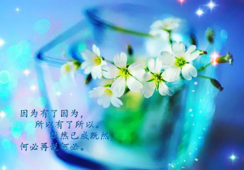 妻子情人拔掉我爸氧气罩，总裁妻子竟毁尸灭迹诬告我是杀人犯免费读全文 季宁笙叶均小说无弹窗