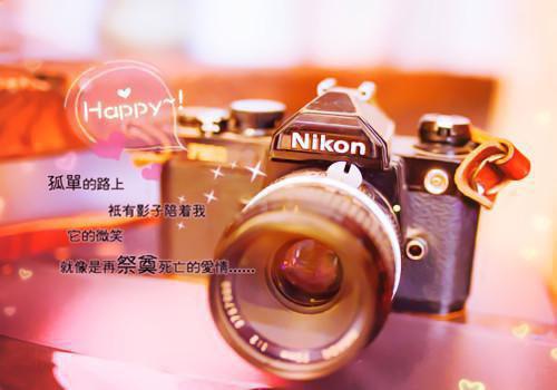 周以宁靳北宸无弹窗 靳爷隐婚发疯：红眼诱哄官宣周以宁靳北宸全文免费阅读