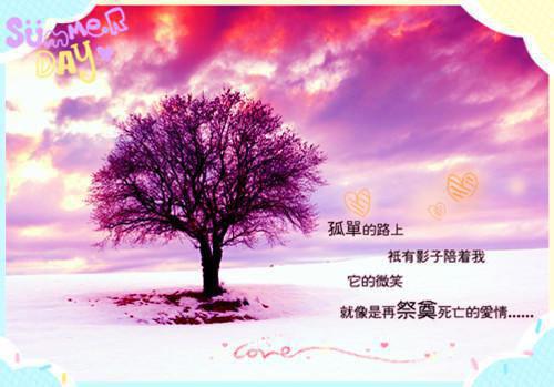 赵书映周司珩小说章节免费阅读 赵书映周司珩无弹窗