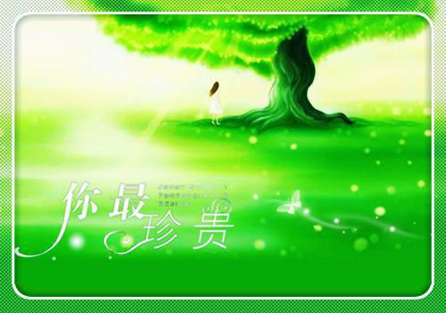 替身不爱女总裁，一心向钱免费试读 严如霜何谨川小说