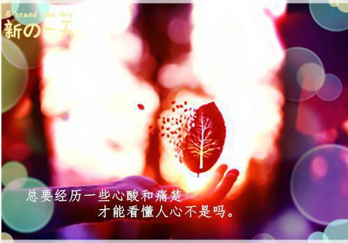 孟庭月谢疏言免费阅读小说 孟庭月谢疏言第5章
