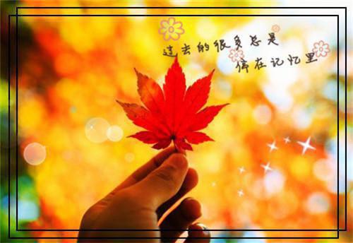 若你早与他人两心同（傅江辞宋书影）小说免费在线阅读_若你早与他人两心同全本免费小说阅读（傅江辞宋书影）