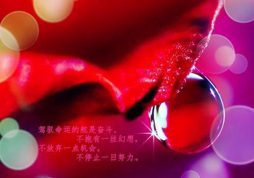 最新章节乔之夏傅庭安_乔之夏傅庭安已完结
