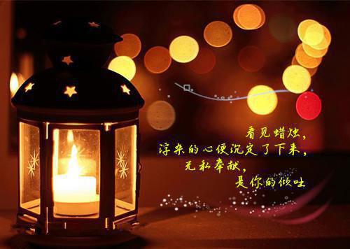 沈千鹤齐修远免费全本小说 沈千鹤齐修远章节目录