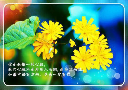 撕碎妻书：自立女户打脸记+完本+结局全文阅读（孔临安薛相宜）最新章节_撕碎妻书：自立女户打脸记+完本+结局全文阅读