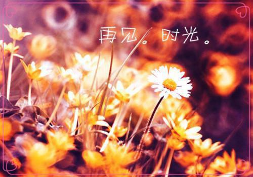 繁花盛意难平：全文+后续+结局（陆依霜轩辕翊）最新章节列表_繁花盛意难平（陆依霜轩辕翊）繁花盛意难平：全文+后续+结局在线阅读