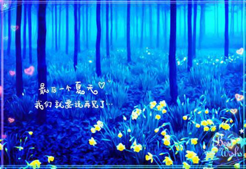 陈洵沈砚清哪里可以看 陈洵沈砚清免费阅读第1章