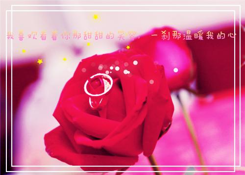 刘韵林巧的小说 刘韵林巧全文免费阅读