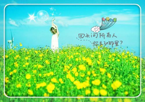 (最新)李峰老板小说完整版免费阅读