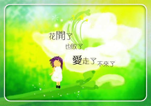 此去经年人未还：大结局+番外小说(沈青禾霍沉洲)章节阅读