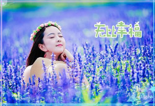 徐川行宋疏薇最新篇章 长昼初醒已半春全本免费阅读