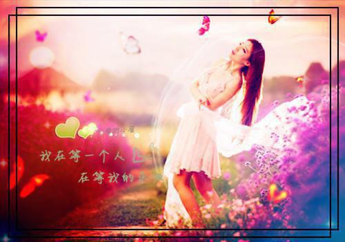主角陆若雅顾舟衍小说免费阅读最新章节
