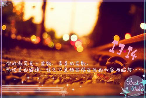 赵梓忆许林程小说名字免费 车祸后，妻子伪造我死亡把我公司送给白月光章节阅读