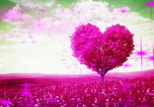 被土匪袭村时，丈夫在陪白月光游玩精选作品之一吴长月张双锁推荐完本_已完结被土匪袭村时，丈夫在陪白月光游玩精选作品之一（吴长月张双锁）