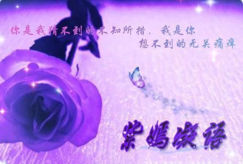 主角是陈拾秋顾凌川的小说免费阅读全文大结局