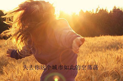 段归年杜白柔小说 段归年杜白柔免费章节阅读