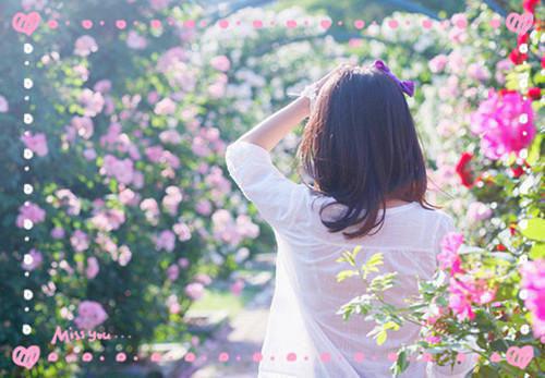 张美宋婉免费阅读小说 张美宋婉