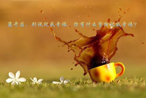 顾安顾淮叶蓁什么小说 顾安顾淮叶蓁全文免费阅读