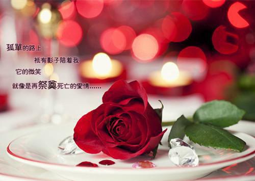 夏欲晚江厌的小说 夏欲晚江厌：结局+番外小说免费阅读