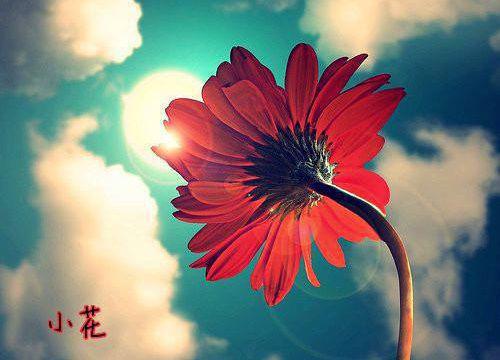 蒋南州沈宛月小说在哪里看 蒋南州沈宛月在线阅读第十二章