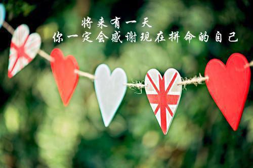 此生不再同路张莉梁家栋小说在线免费阅读(大结局)