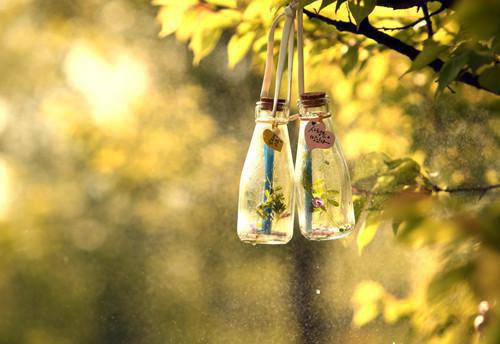 他是真病娇免费阅读 邱棠徐鹤言小说无弹窗