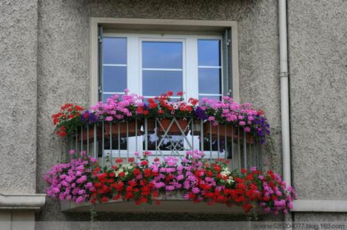 叶北宸军霍清玥小说章节目录 叶北宸军霍清玥免费阅读第4章