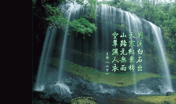 最新章节当女配看见弹幕后,被病娇男主强制爱了：免费（裴纪洲江柠）_当女配看见弹幕后,被病娇男主强制爱了：免费裴纪洲江柠最新章节