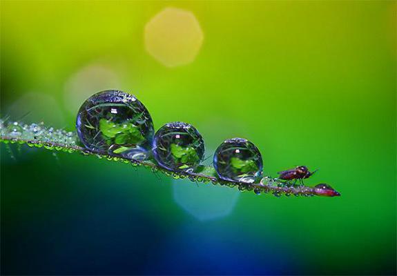 (番外)+(全文)夏语栀祁墨寒（等风等雨等不到你：结局+番外）完整全文在线阅读_夏语栀祁墨寒免费阅读最新章节列表_笔趣阁（等风等雨等不到你：结局+番外）