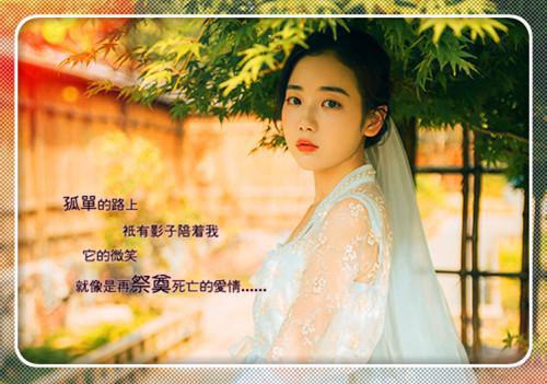 顾云峥沈凝程馥锦小说名字 顾云峥沈凝程馥锦全文免费阅读