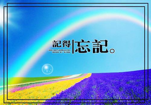 十次零落，爱已成殇目录 傅红雪叶沐晚林辰无弹窗阅读