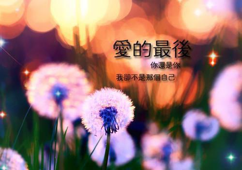 (结局)+(全文)萧叙淮姜泠（望不见眼底星河：结局+番外）全文免费阅读无弹窗大结局_(萧叙淮姜泠)最新章节列表_笔趣阁（望不见眼底星河：结局+番外）
