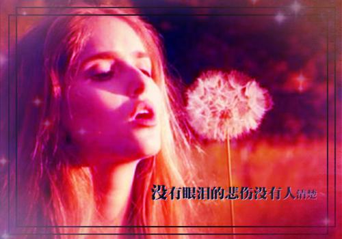 前传_笔趣阁（原来这些年珍藏在的甜蜜，也是虚假的）原来这些年珍藏在的甜蜜，也是虚假的小说(魏鹂婉洛凌轩)章节在线阅读