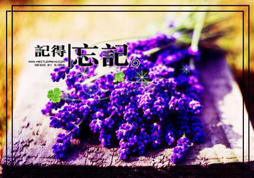 宋锦湄贺随全文最新章节正版小说免费阅读