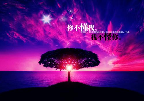 郑燕沈清梦是啥小说 郑燕沈清梦免费阅读无广告