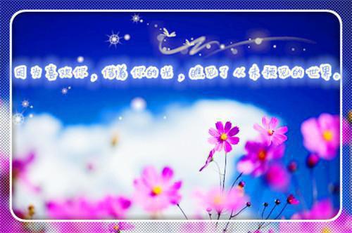 婆婆讨厌我一辈子：结局+后续+完结周文渊沈青禾张桂芳江砚舟小说(完整)免费阅读
