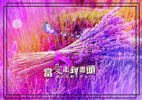 姜柚迟章主角的书 嘉宾全文阅读免费