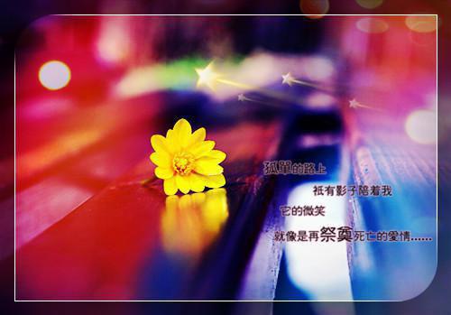 全本寒来暑往将你遗忘：全文+后续（姜舒意顾知凛）最新章节列表_全本寒来暑往将你遗忘：全文+后续全文阅读