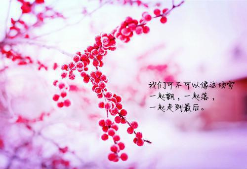 拜金女配别想逃，强势霸总只爱你！免费读全文 乔疏雨陆霁川小说无弹窗