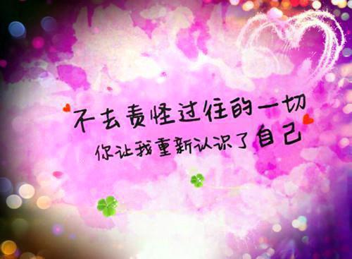 (抖音小说)姜怡林默北免费阅读