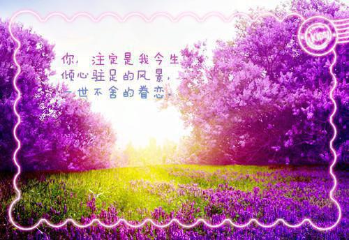 秦嫣杜鹃免费全文无弹窗 风雪不及春色小说在线阅读