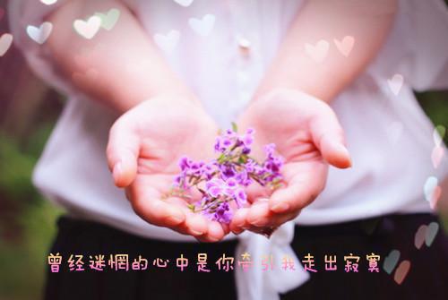 苏婉江忱序小说名字 夫弟前男友恨我入骨，日日来报复章节试读