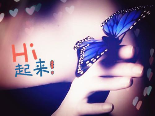 神雕：黄蓉夸我比郭靖会撩首发小说 杨过张小凡在线阅读
