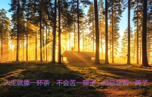 我的千万超跑被老婆送给男大学生全文目录 楚向南苏锐陆震轩小说免费阅读无广告