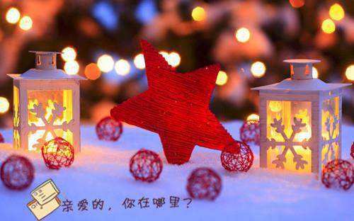 陆叙江岚月最新章节免费 陆叙江岚月在线阅读
