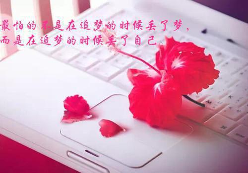 浮生同饮杯中雪小说(傅樾尘温栀叶静霜)章节阅读