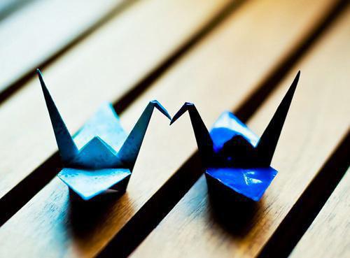 楚航姜欣全文阅读最新 楚航姜欣小说目录