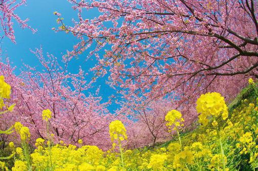 全本未见却思量：+后续+结局（纪暖喻淮洲）最新章节列表_全本未见却思量：+后续+结局全文阅读