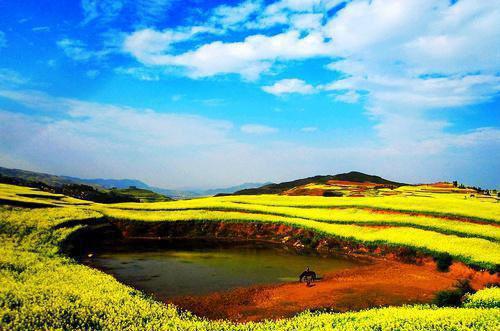 段明旭李良哪里可以看 段明旭李良免费阅读